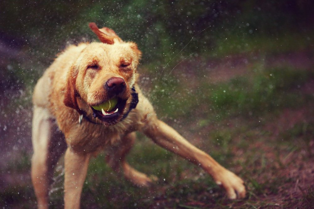 Photograph by Ашракаев Руслан