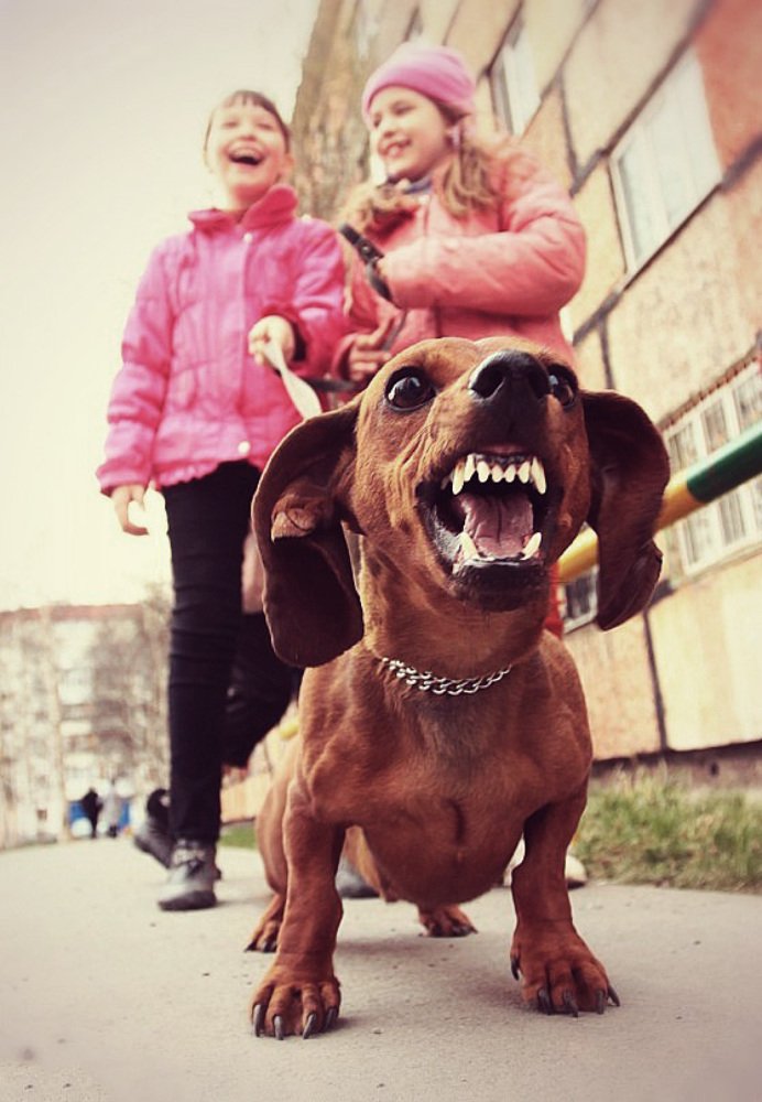 Photograph by Ашракаев Руслан