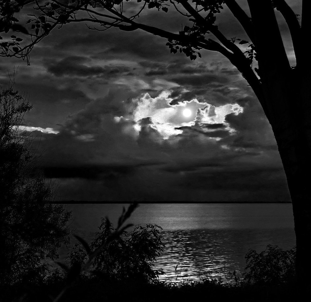 Photograph by Сергей Фунтовой