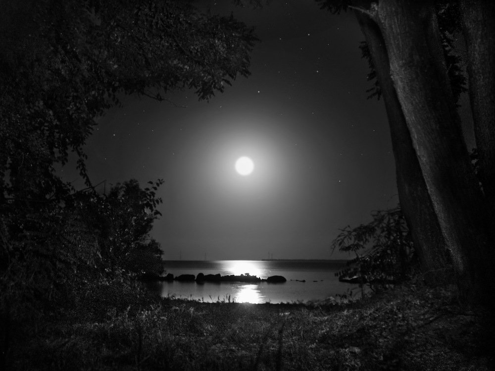 Photograph by Сергей Фунтовой