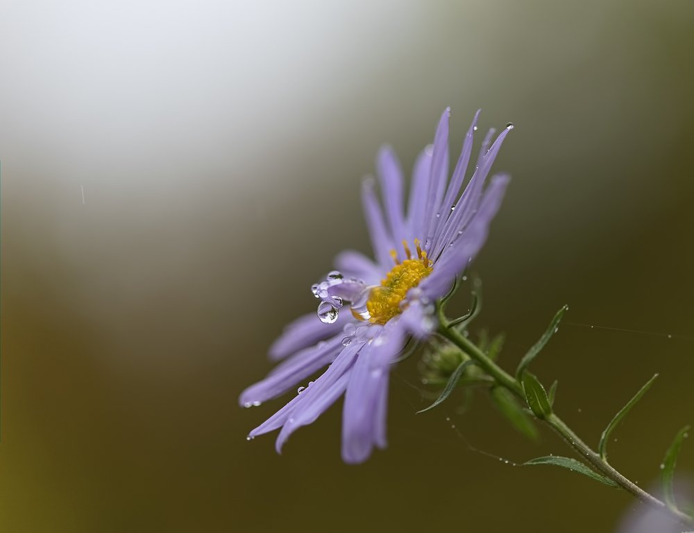 Photograph by Евгений Паршуков