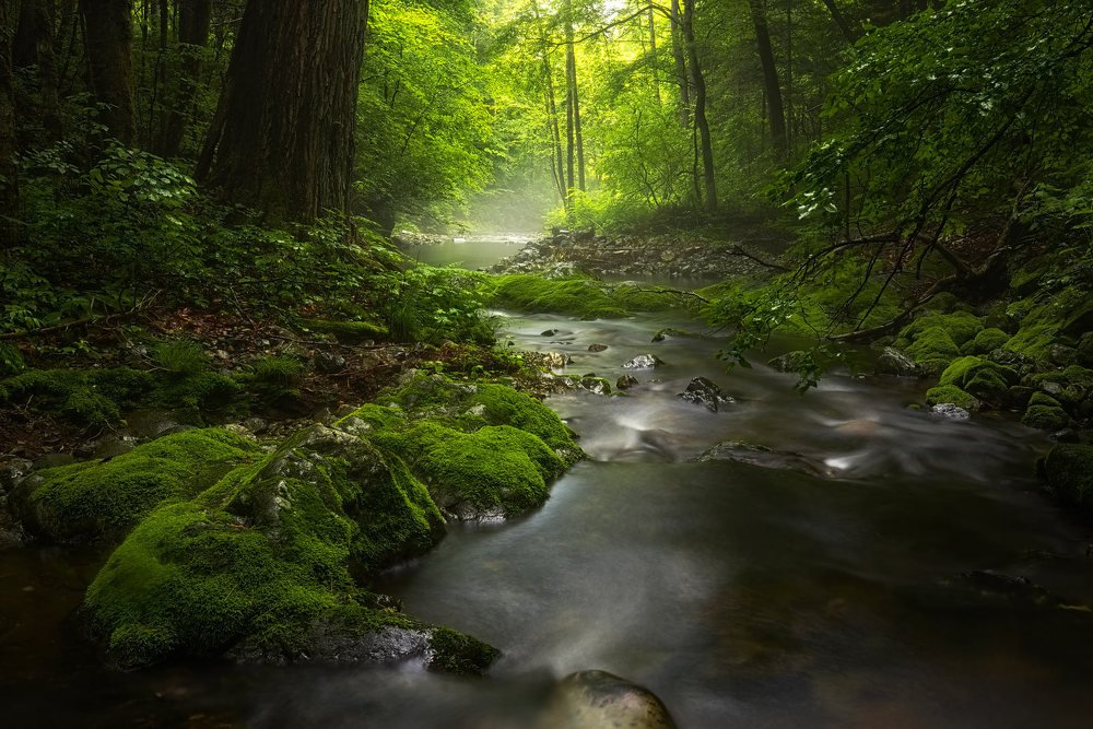 Photograph by Евгений Паршуков