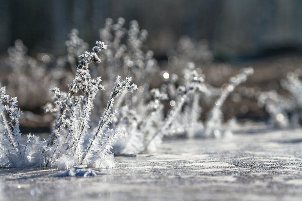 Островки зимы