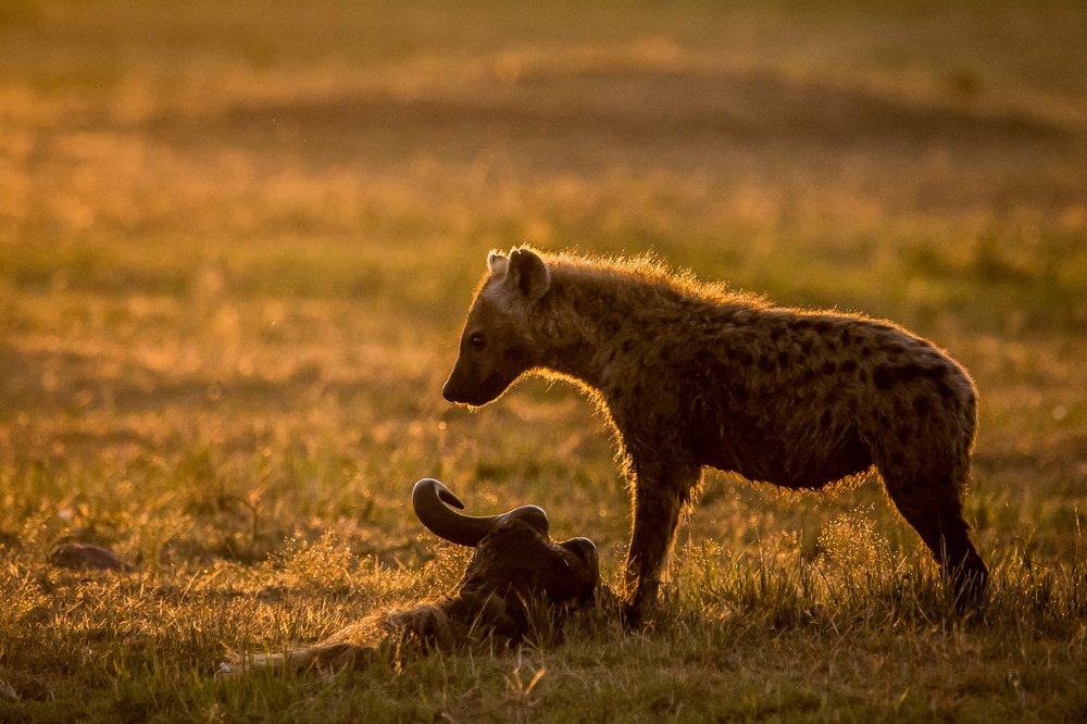 Photograph by Aqil Ahmad Sharifuddeen