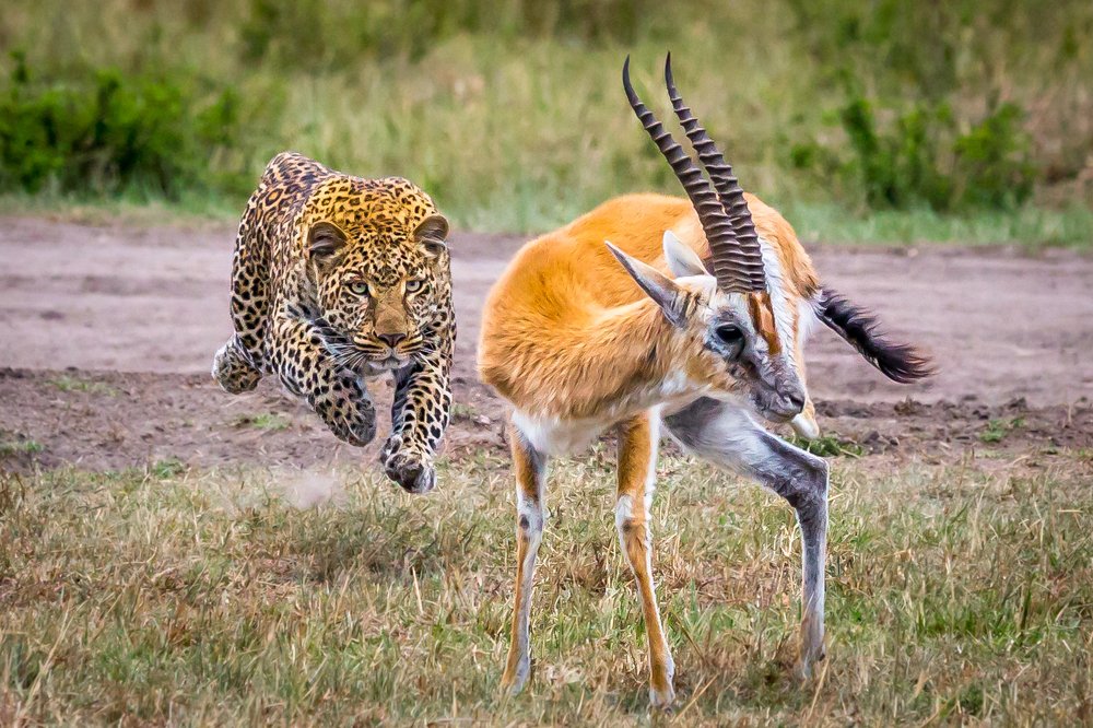 Photograph by Aqil Ahmad Sharifuddeen