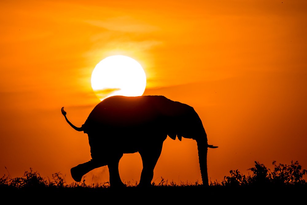 The Bright and the Dark align at the horizon