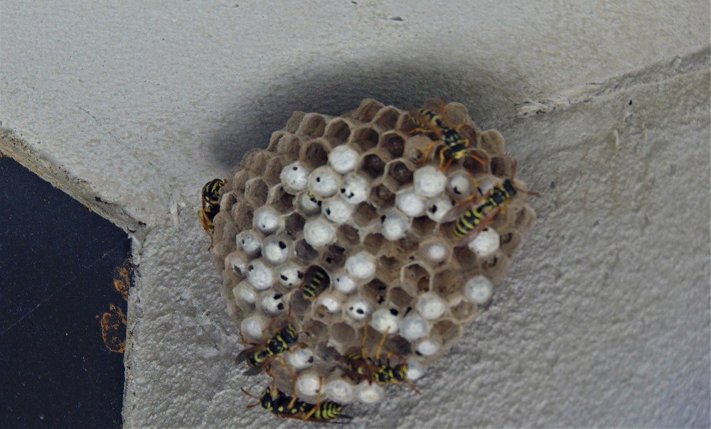 Photograph by Zdravko Ponorac