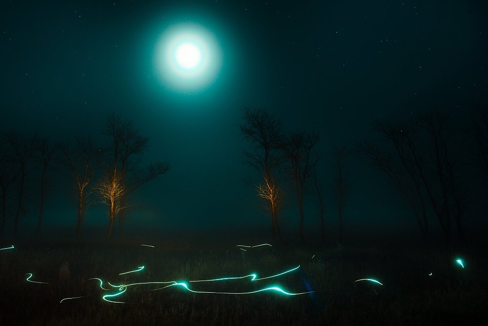 сонная лощина