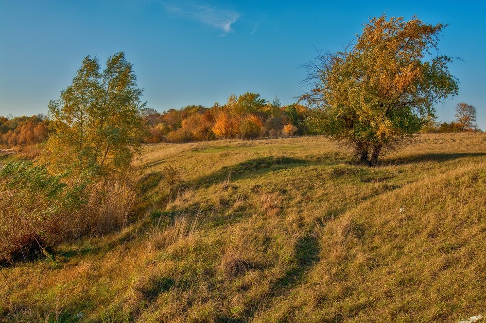 Фотография автора Виктор Долматов