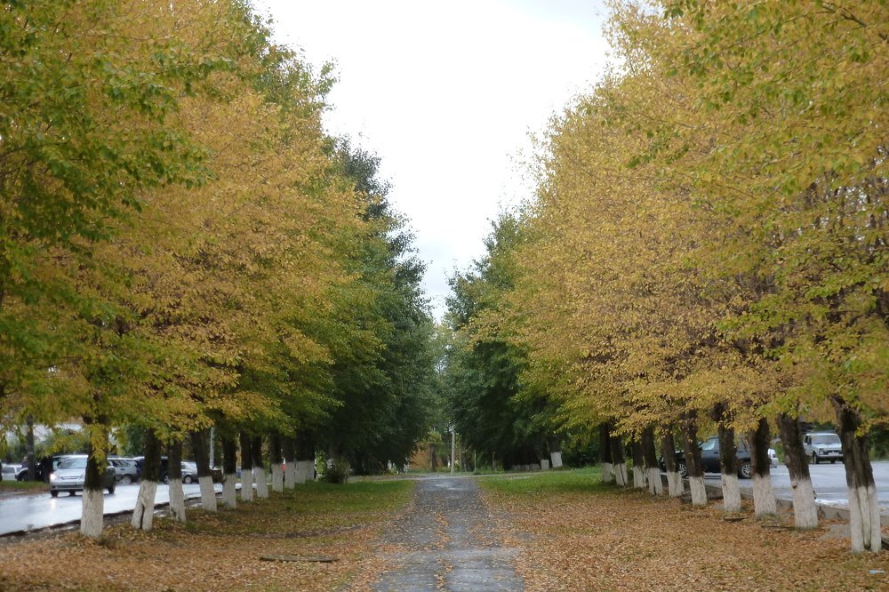 Photograph by Владислав Завальнюк