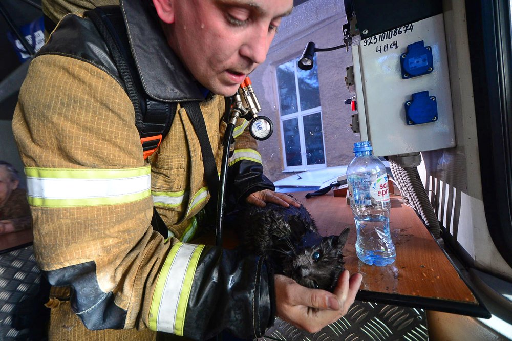 Photograph by Артём Устюжанин