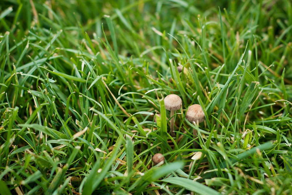 Photograph by Людмила Пак