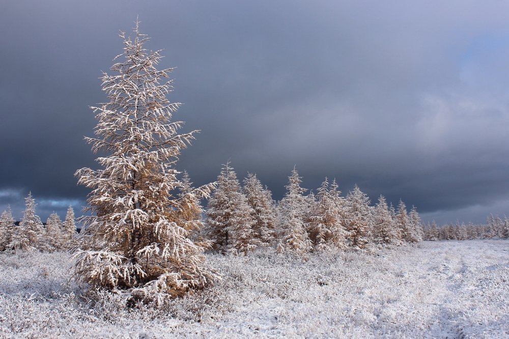 Photograph by Александр Велигура