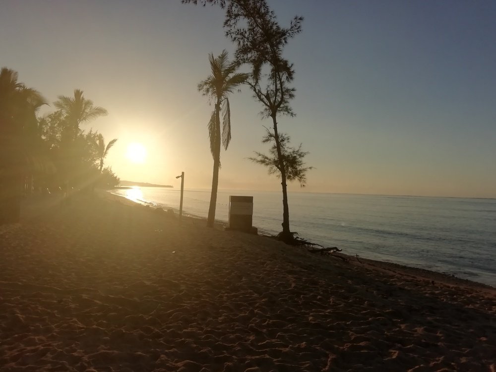 Photo #3707112