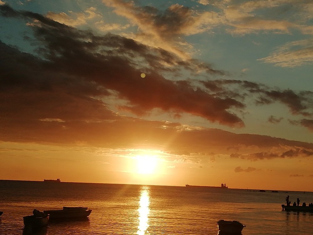 Photo #3707115