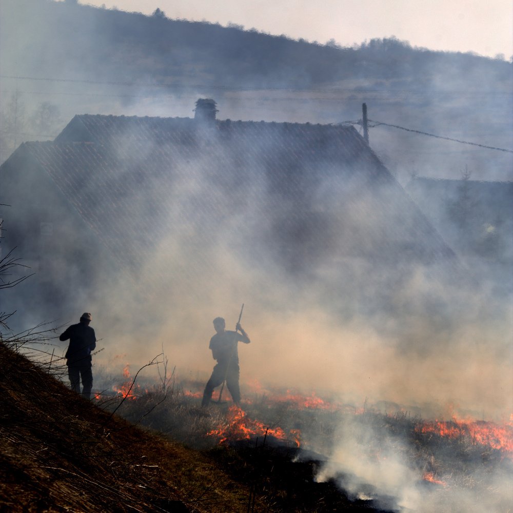 Photograph by Dzintra Zvagina