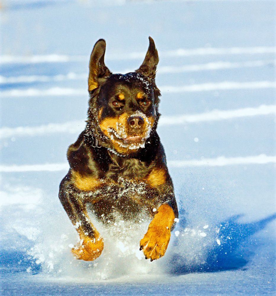 Photograph by Татьяна Макотра