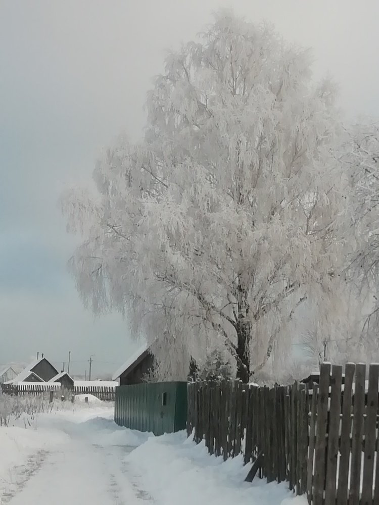 Photograph by Юлия Мартынова