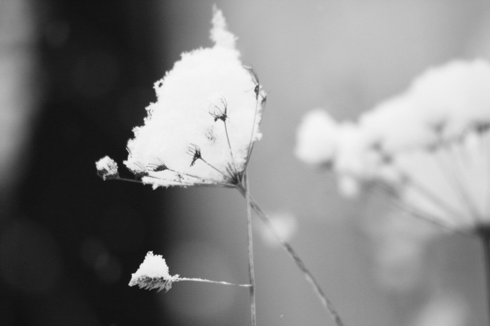 Photograph by Вадим Беляев