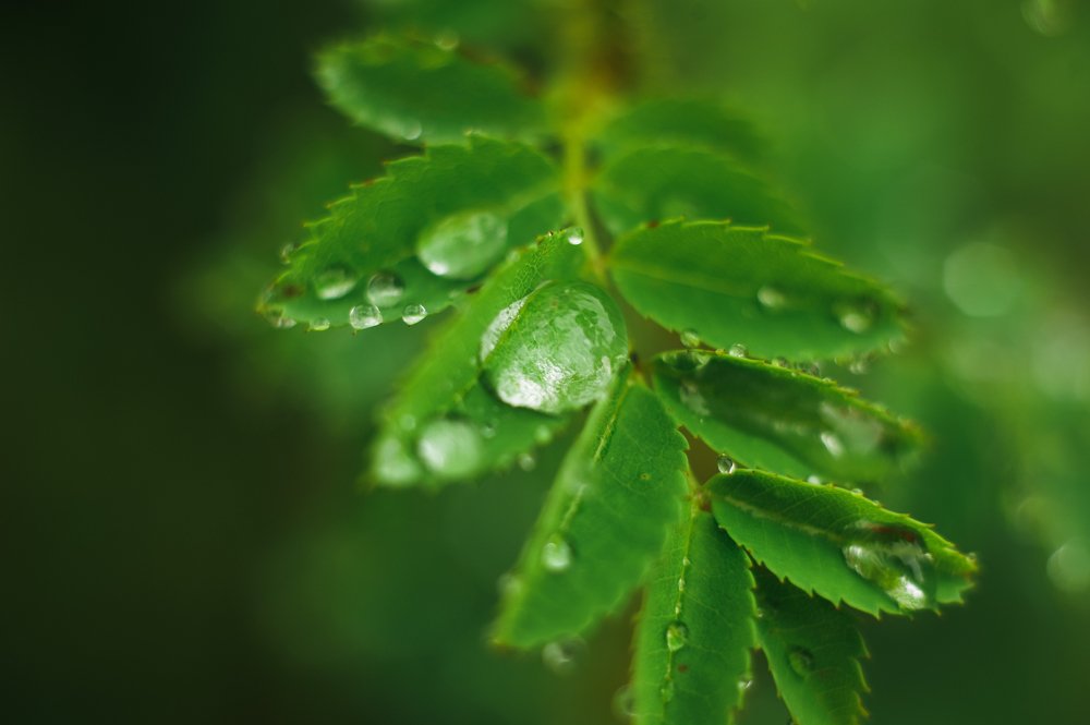 Photograph by Ирина Летунова