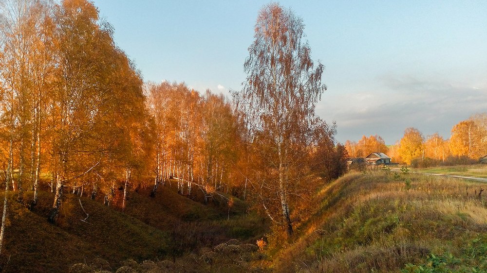 Золото Осени.