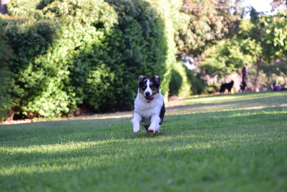 Photograph by Дмитрий М