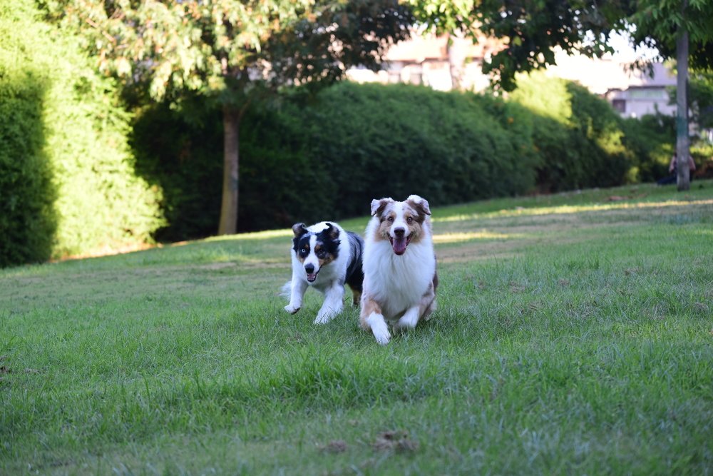 Photograph by Дмитрий М