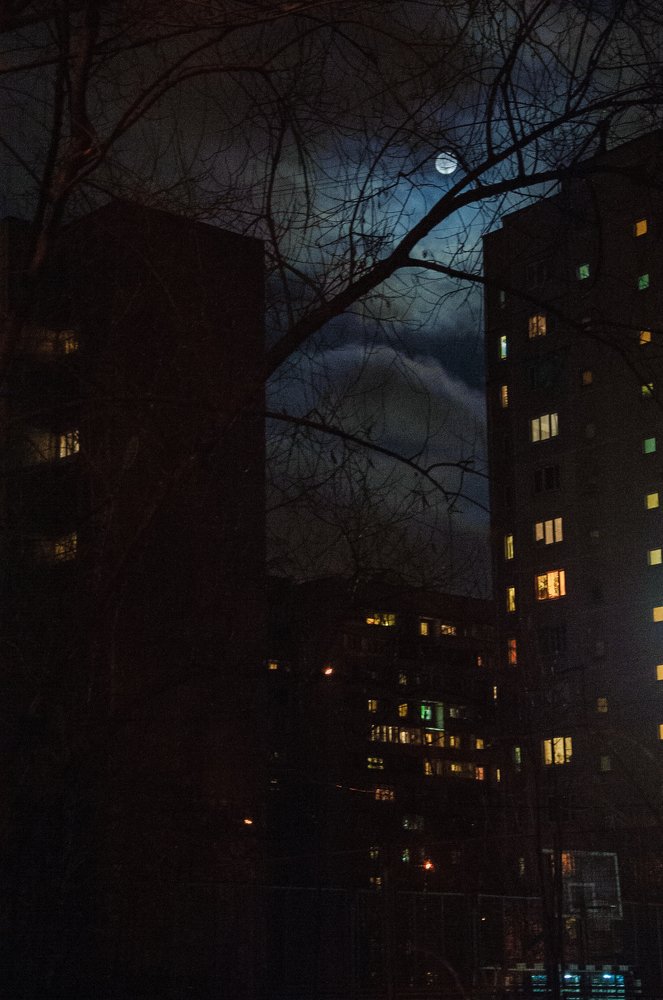 Photograph by Ирина Летунова