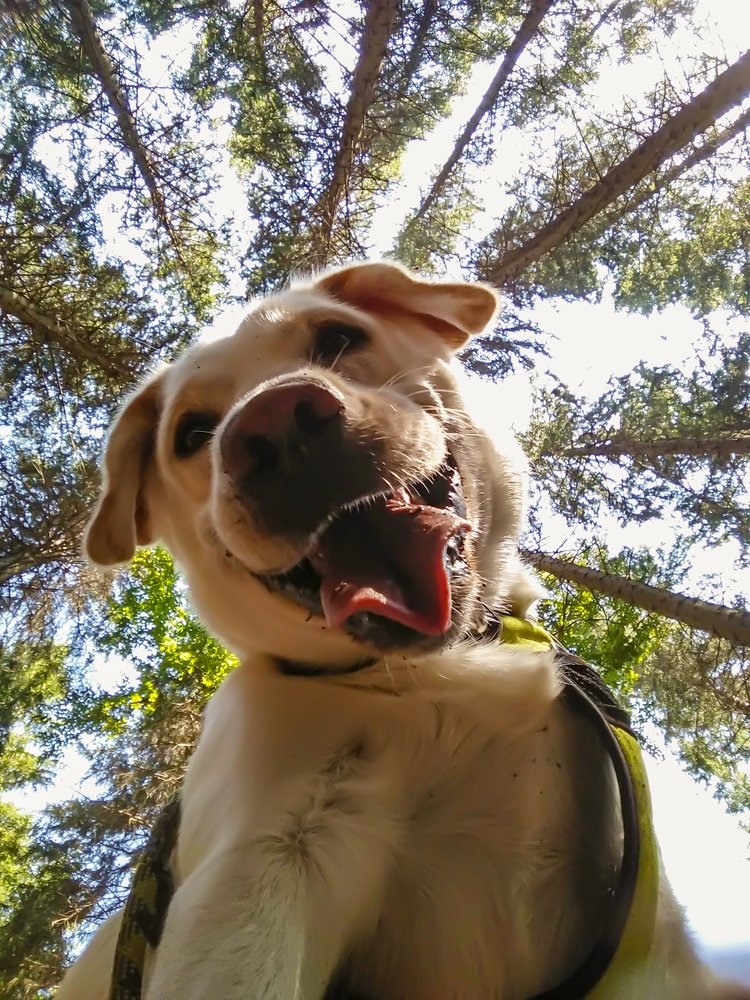 Photograph by Petr Kočica