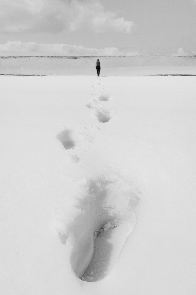 Photograph by Mohammad Dadsetan