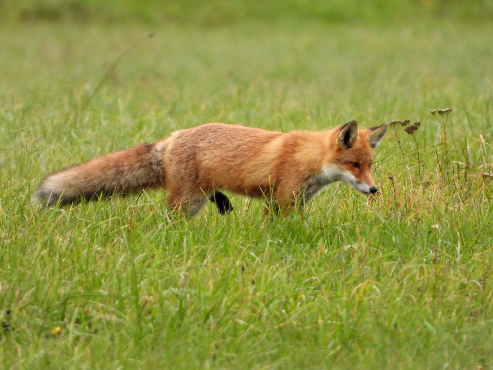 Photograph by ТАТЬЯНА КОНРАДИ