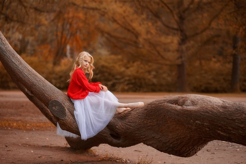 Фотография автора Елена Петрова