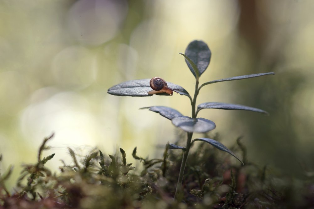 Не провалиться бы!