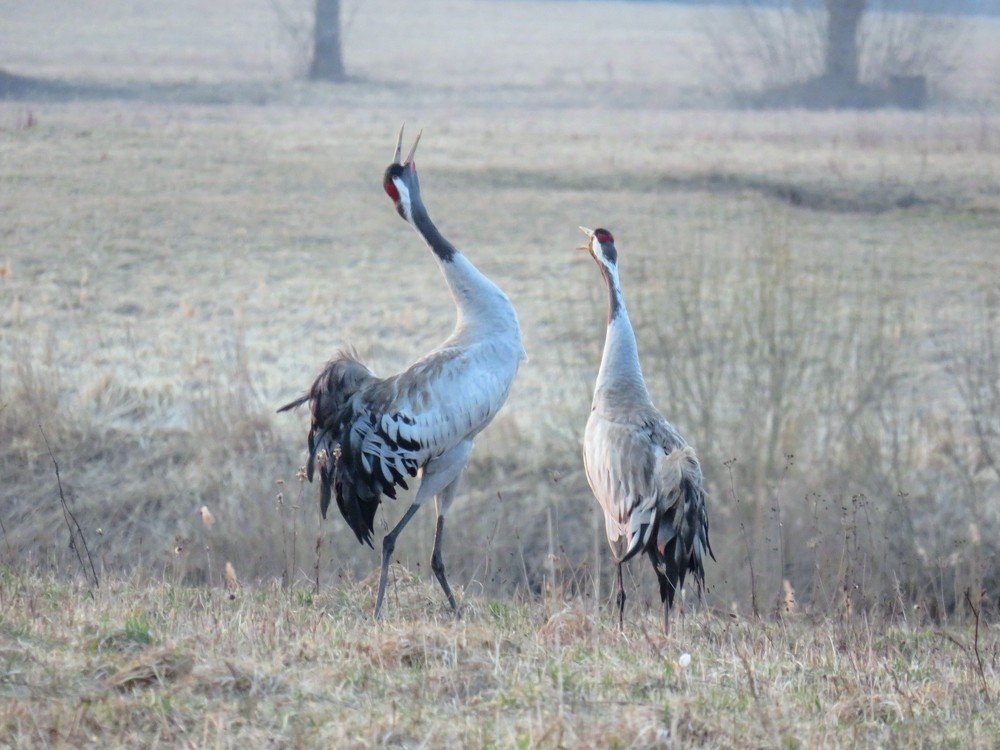 Photograph by ТАТЬЯНА КОНРАДИ