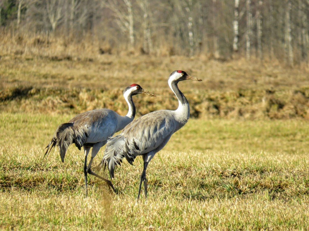 Photograph by ТАТЬЯНА КОНРАДИ