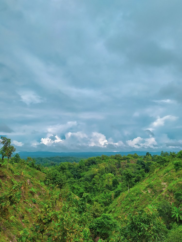 Фотография автора Fahim Abrar