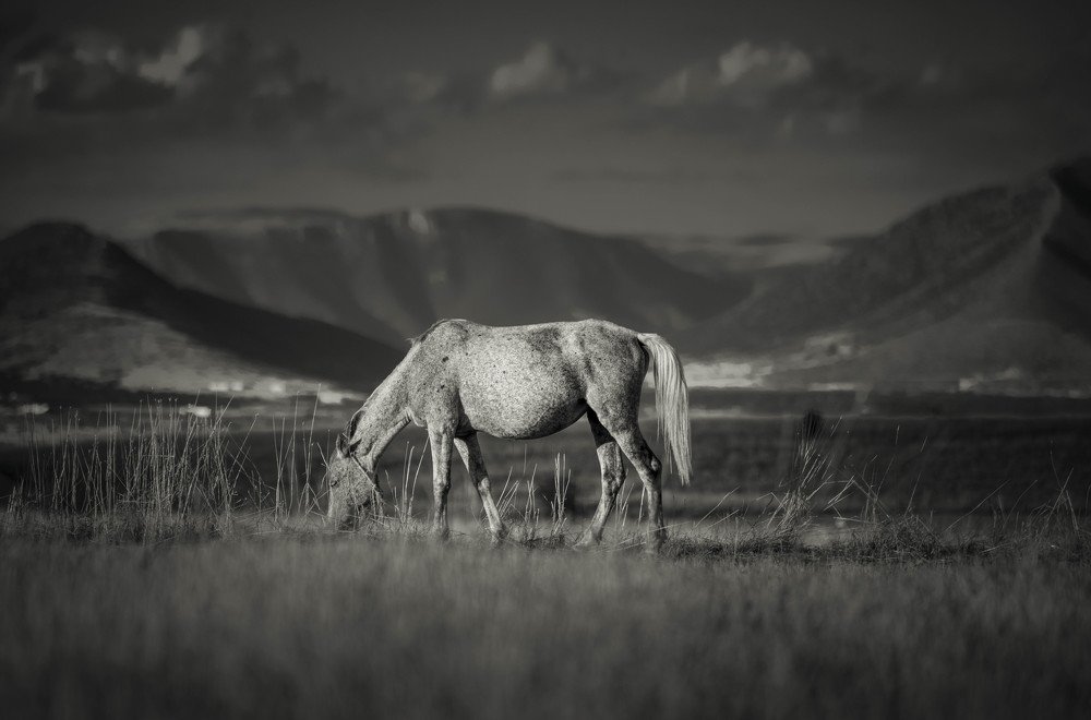 Photograph by Dimitris Vavliaras