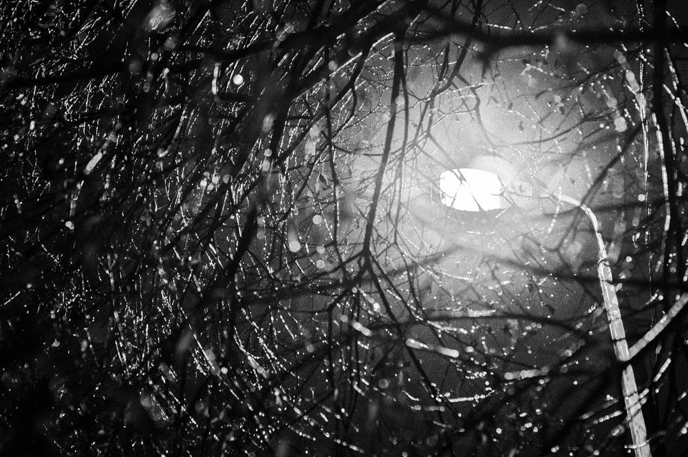 Фотография автора Роман Борисов