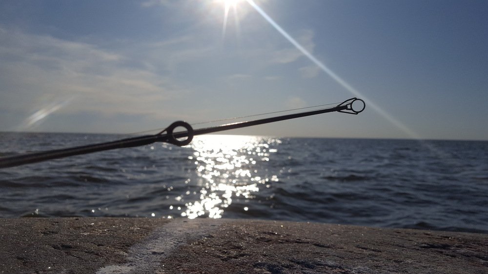 Photograph by Наталья Качанова