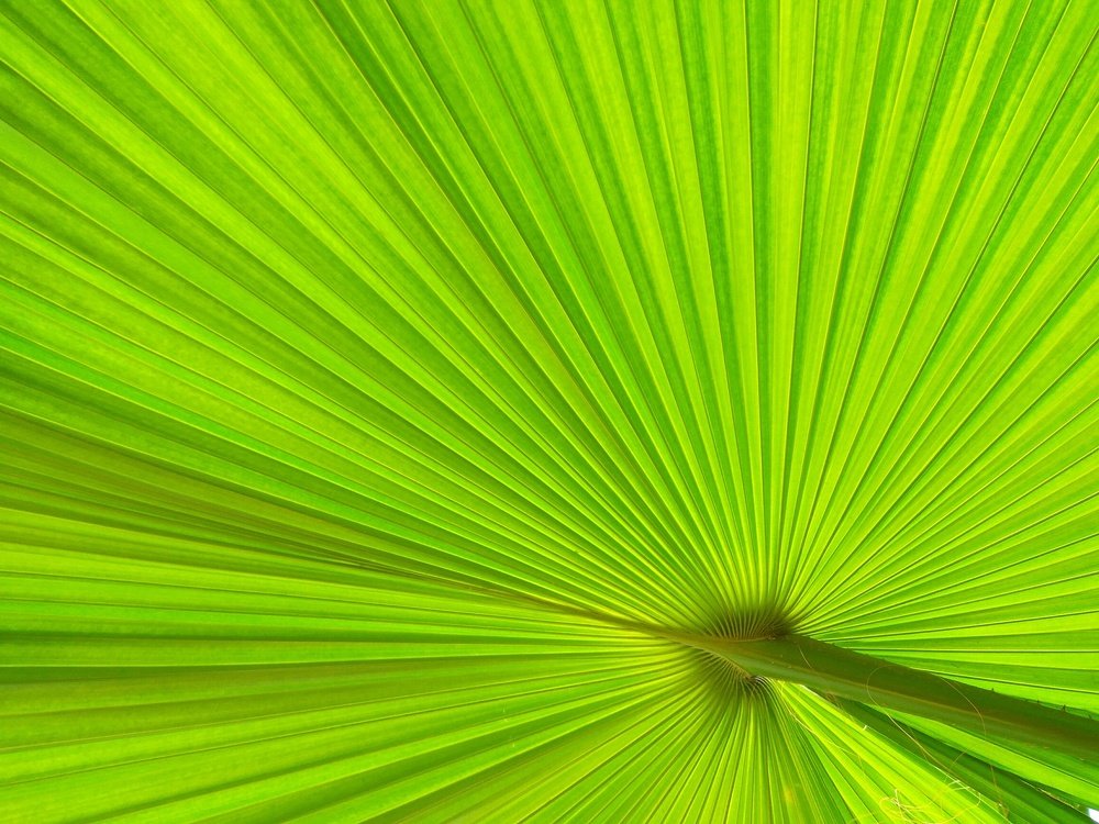 Фотография автора Vivek Tavate