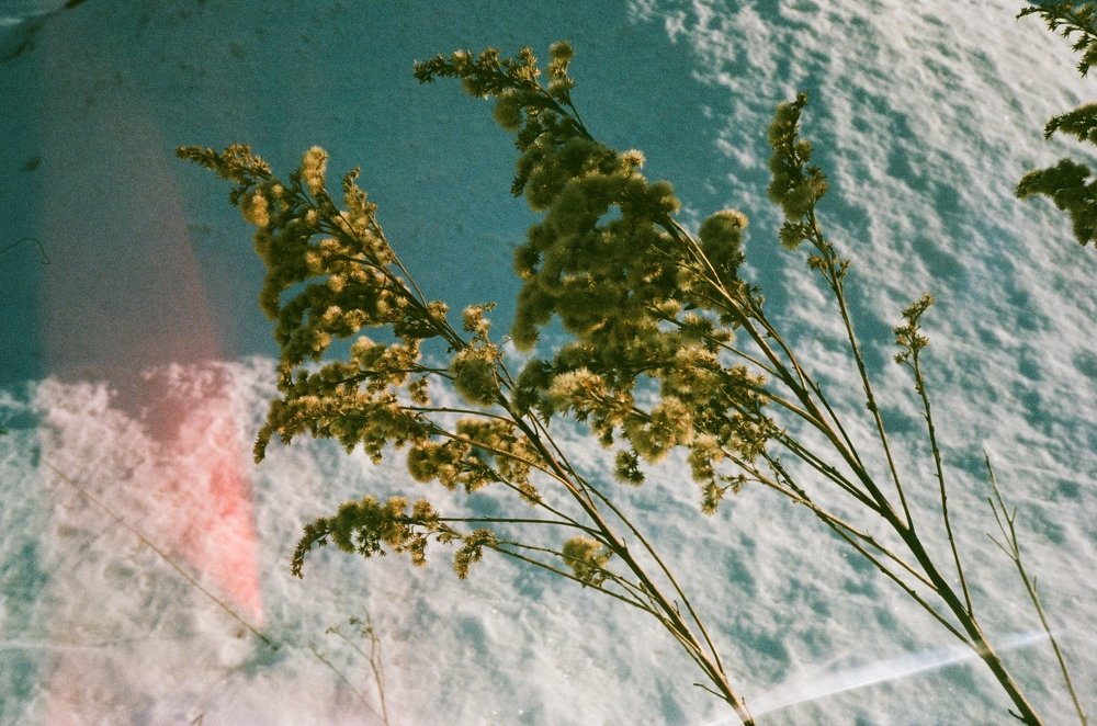 Photograph by Natalia Gotovko