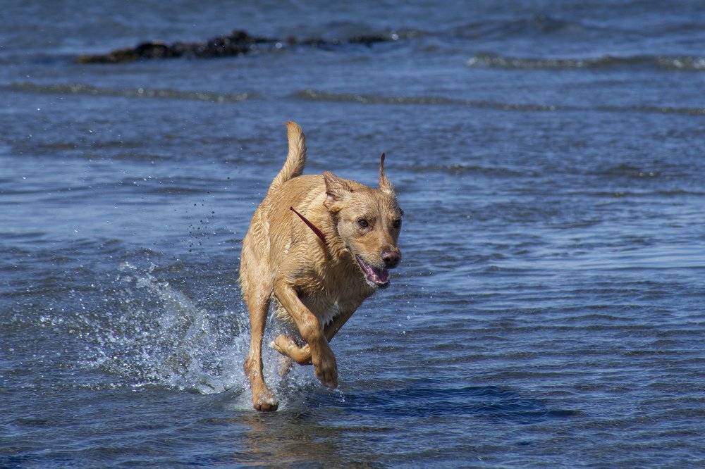 Photograph by Олександр Ковалев