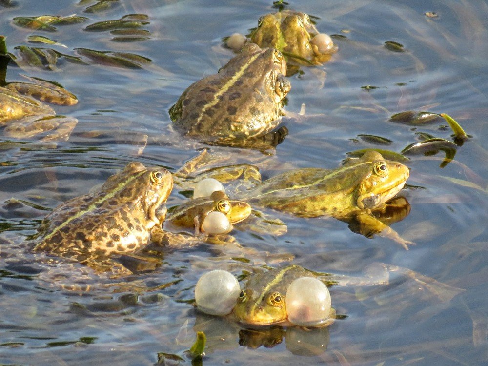 Photograph by ТАТЬЯНА КОНРАДИ