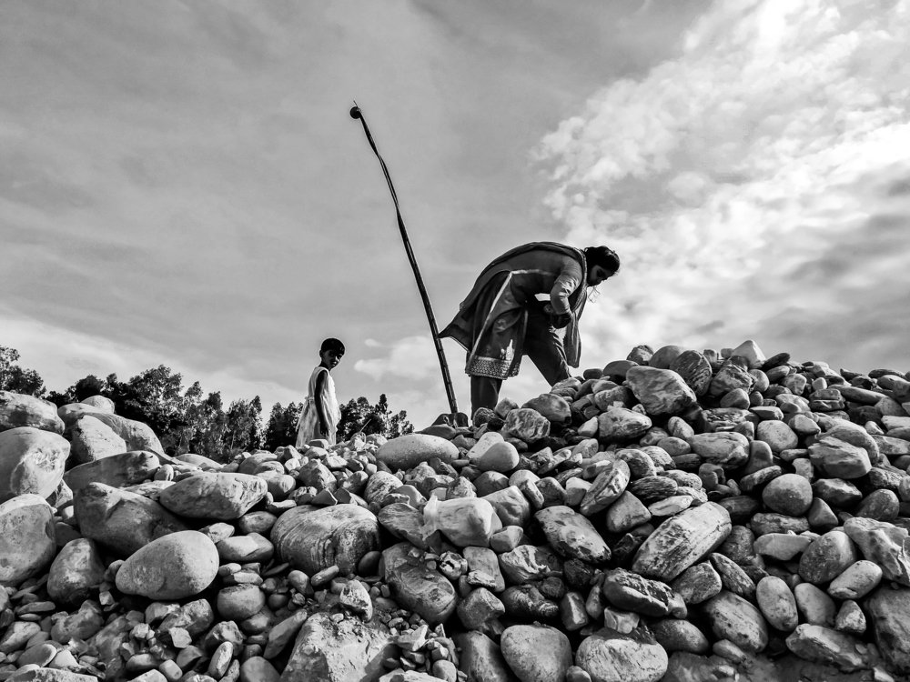 Photograph by Md Abu Sayeed Mondal