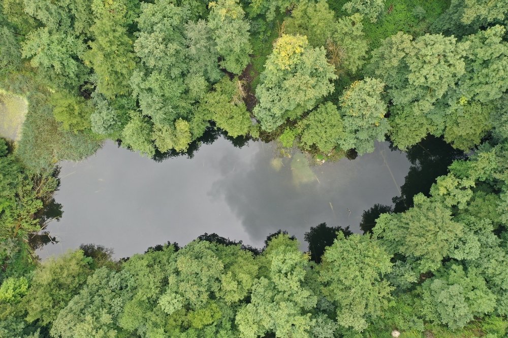 Photograph by Arman Mohammadi