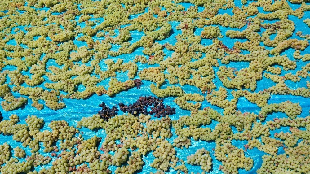 Photograph by Arman Mohammadi