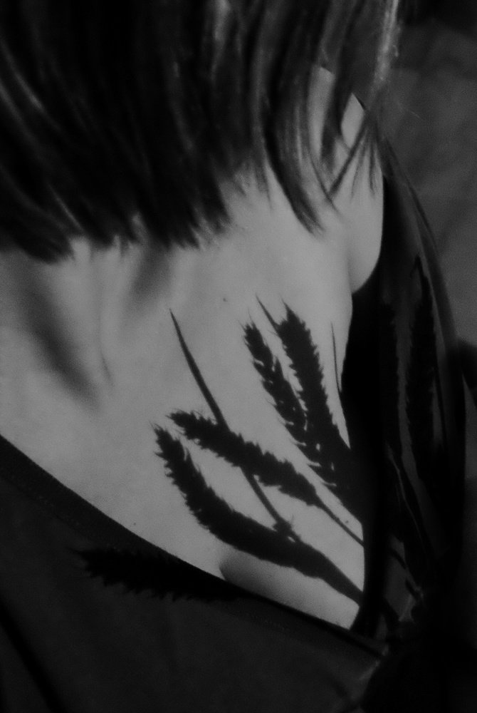 Photograph by Елена Исрафилова