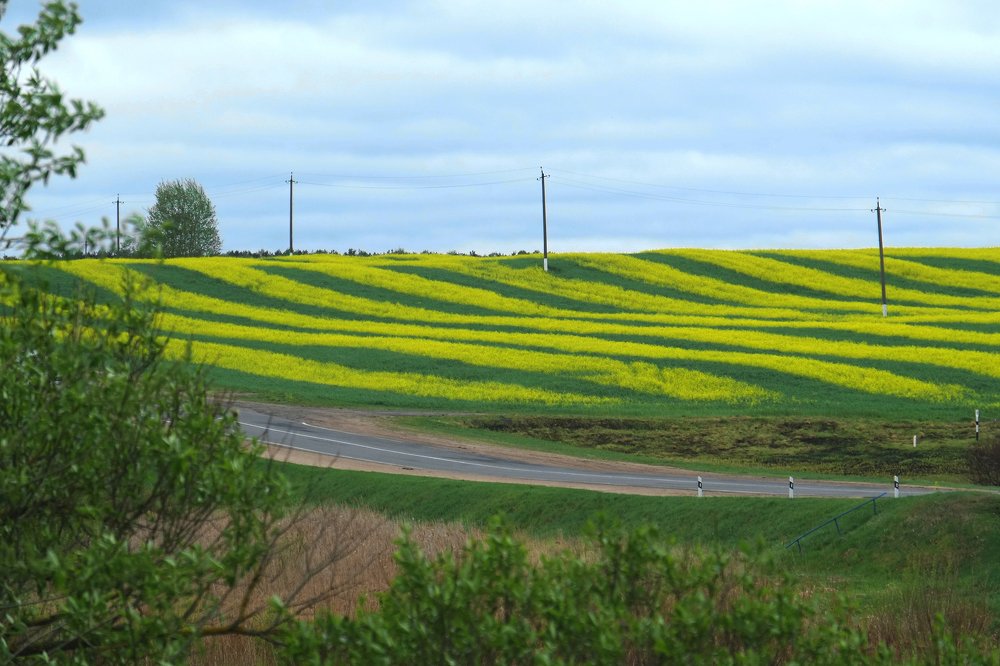 Photograph by Наталья Манусова