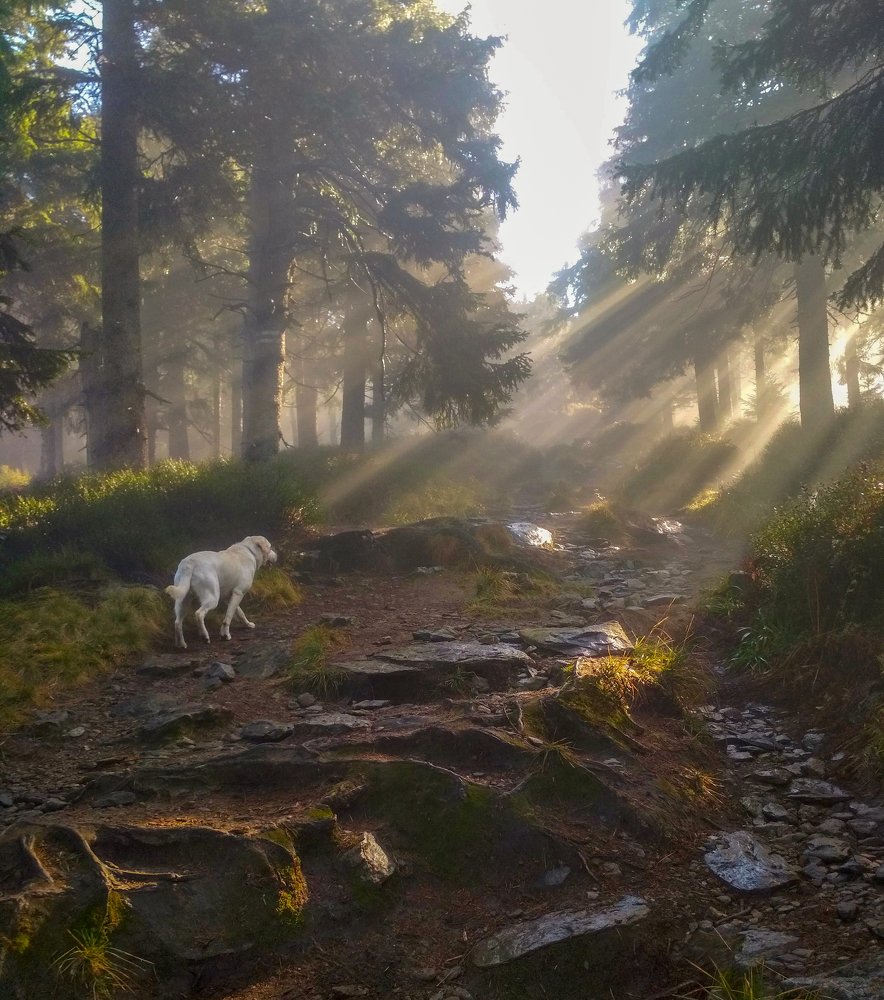 Photograph by Petr Kočica