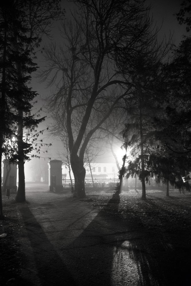 Photograph by Андрей Бойко